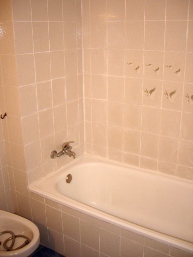 cambio bañera por ducha